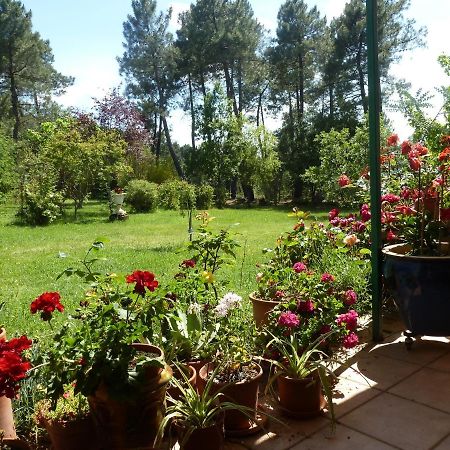 Villa Domaine Du Planas - Patio à Ailhon Extérieur photo