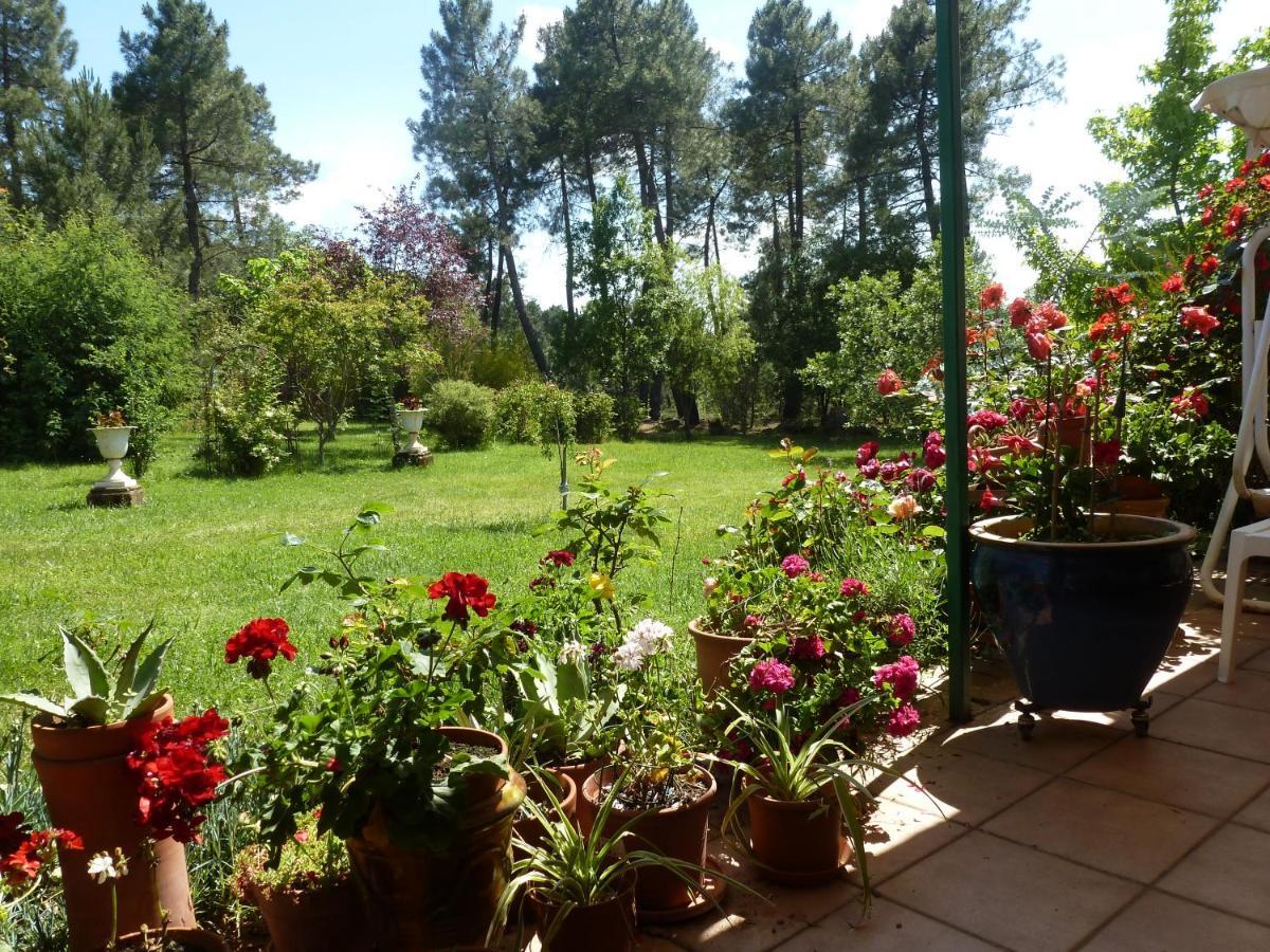Villa Domaine Du Planas - Patio à Ailhon Extérieur photo